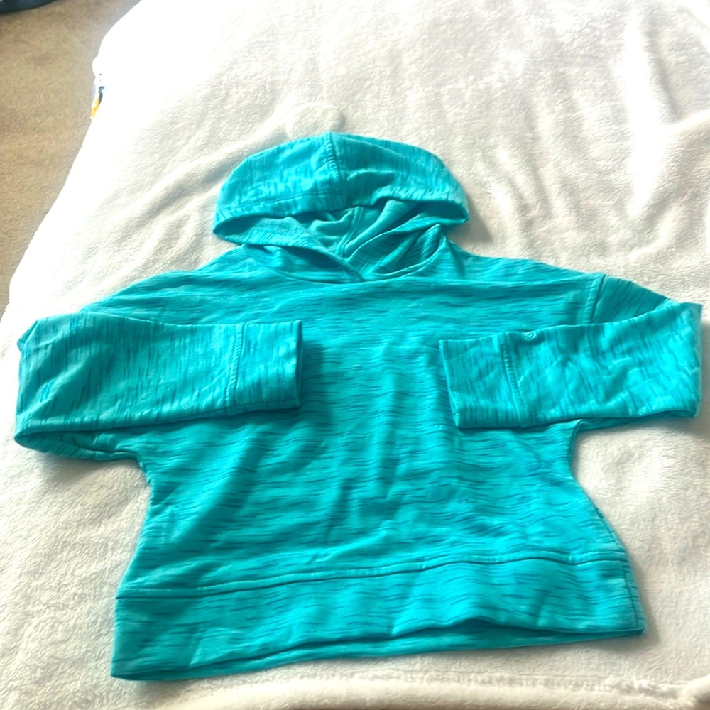 Champion Lightweight Hoodie